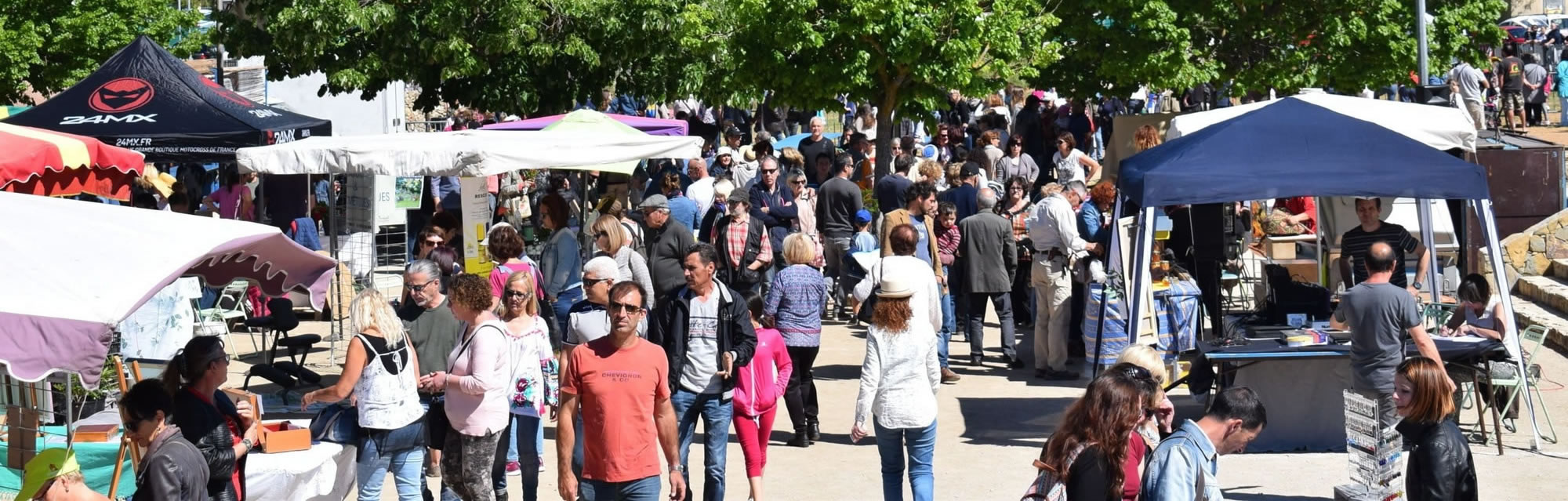 Fête de la pivoine