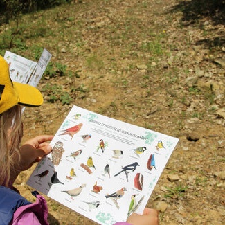 Reconnaissance des oiseaux avec la LPO
