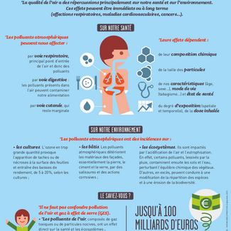 03.La pollution atmosphérique quels effets ?