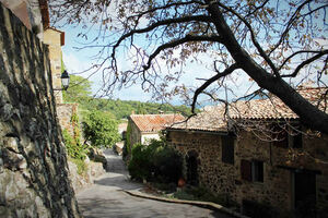 Tourisme & Territoire