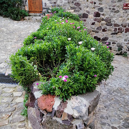 Création d'espaces verts à Nèbre