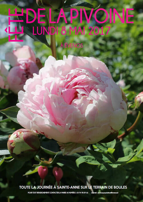 Première Fête de la Pivoine en 2017 : un pari réussi